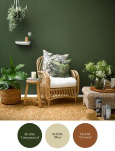 Design Your Home NZ Home decor trends - Colour Trends 2021