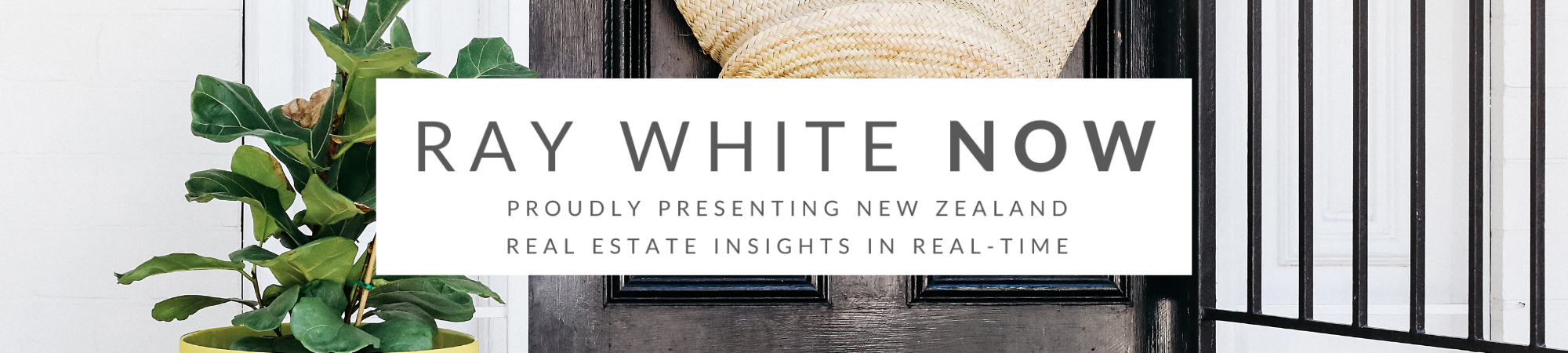Design Your Home NZ RayWhite Property updates